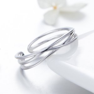 Stříbrné prsten Cestování V Čase SCR483 Pandora styl