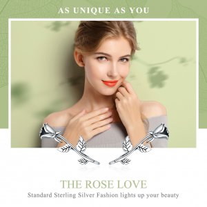 Stříbrné Peckové Náušnice Růže Láska SCE380 Pandora styl