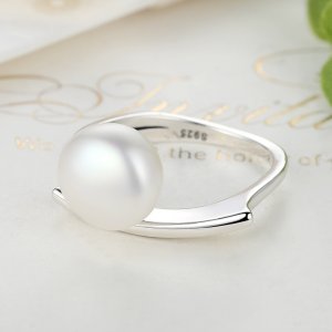 Stříbrné prsten Elegance A Individualita SCR034 Pandora styl