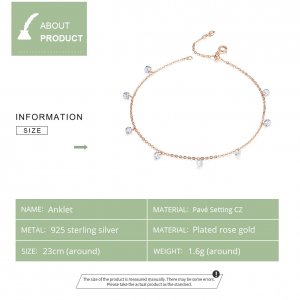 Rose Gold Anklet